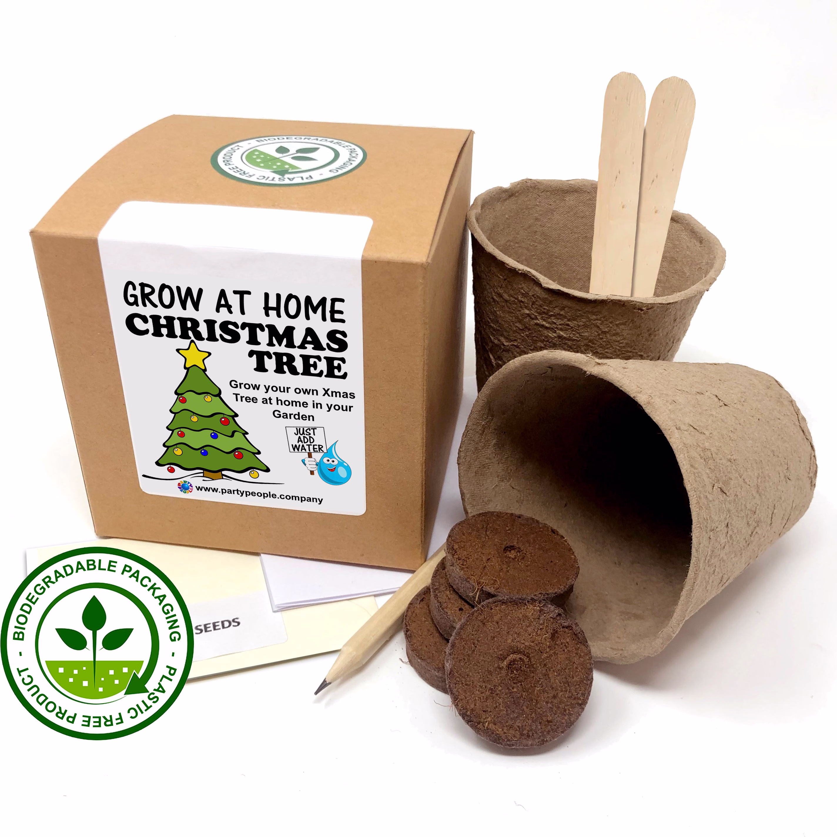 Grow Your Own Christmas Tree | Douglas Fir Kit At Home - Ideal Birthday Gift, Great Fathers Day Gift