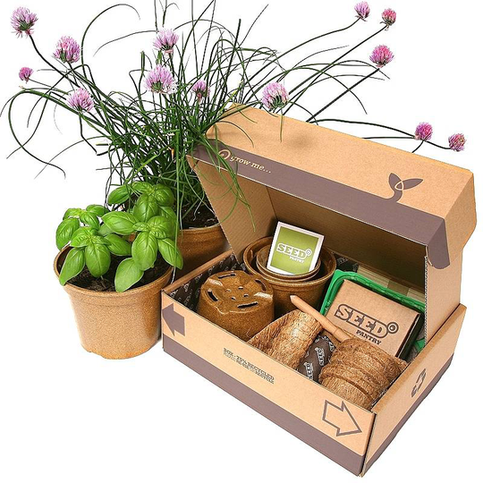 Herb Seeds Starter Pack