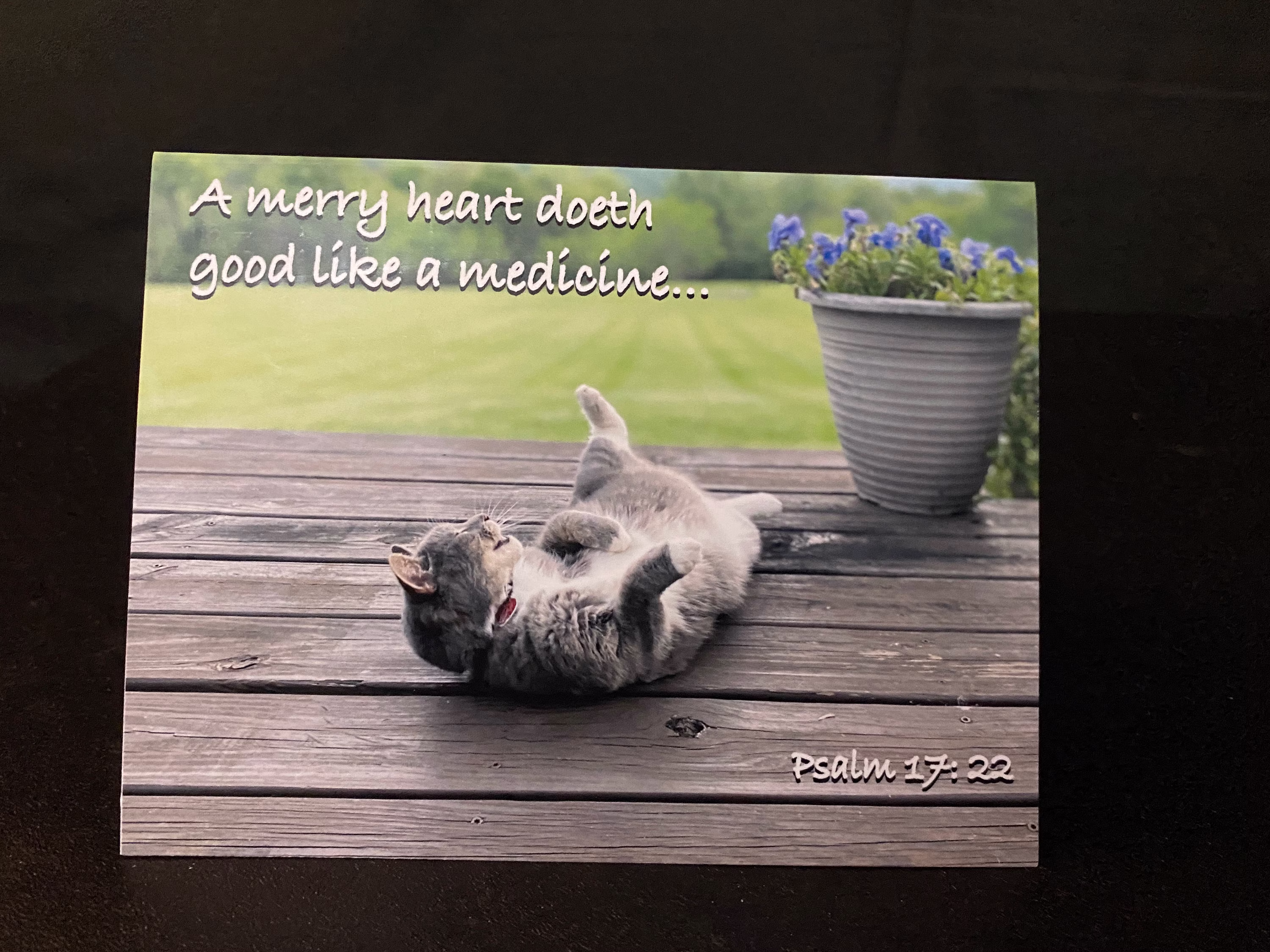 Kjv Get Well Card