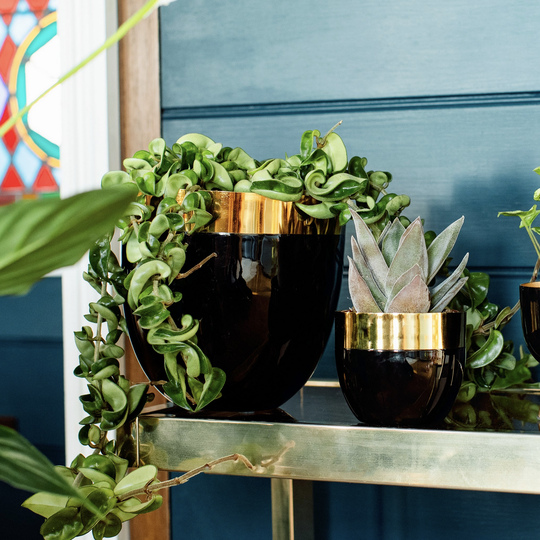Polished Gold And Black Metal Planter