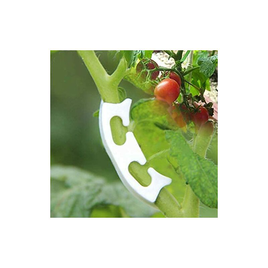 100PCS Garden Plant Clips Plant Clip Tomato Plants Vine Seed Reinforced Clips Fruit Planting Clips Anti-Bending Clips Clear