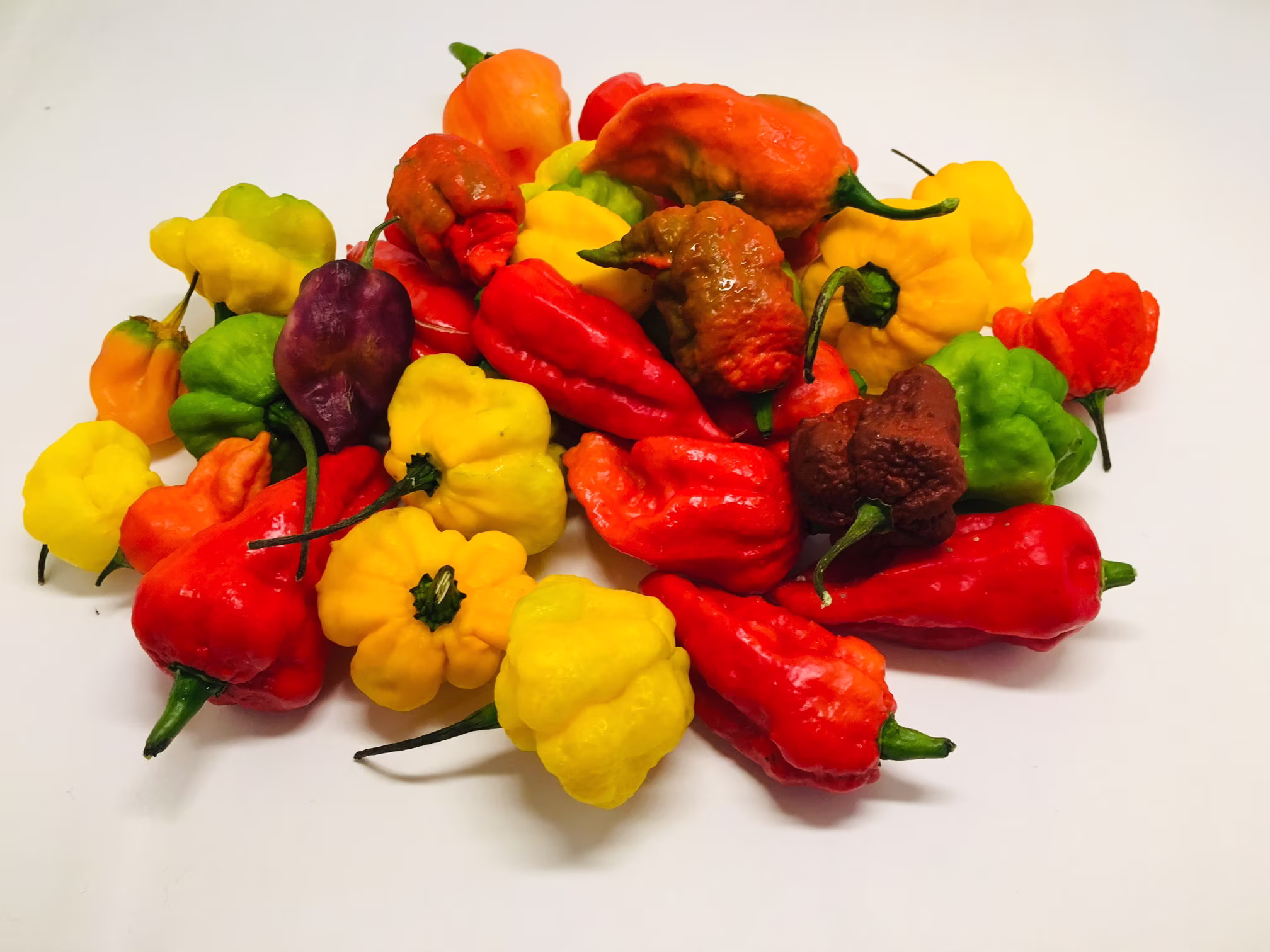Hot & Super Peppers Assorted Varieties - Unlabeled One(1 Pound Boxes Shipped Free Usps Priority Mail
