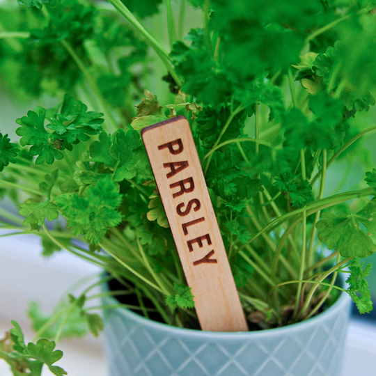 Plant Marker, Herb Garden Marker Stake, Labels, Vegetable Markers, Summer Garden, Staycation, Party Decoration, Wedding Favour