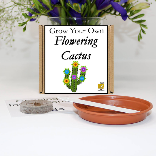 Grow Your Own Flowering Cactus Plant Gift Set