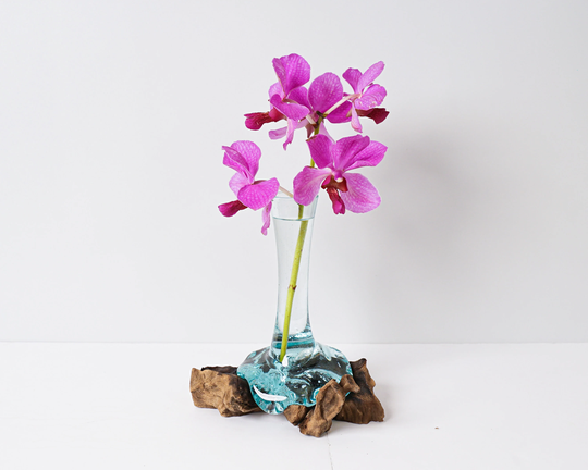 Blown Glass On Driftwood, Vase, Gamal, Molten Glass, Terrarium, Hand Recycled Home Decor, Housewarming, Gift For Dad, Mother