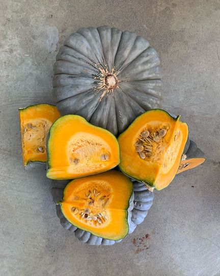 15 Organic Queensland Blue Pumpkin Seeds Kürbis Samen Zaad Zaden Zucca Semi Sementi Sementes Siemenet Citrouille Graines Semillas Somen