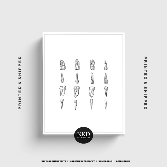Black & White Teeth Print, Doctor Dentist Medicine, Dental Art, Office Decor, Nurse Gift, Wall Orthodontic