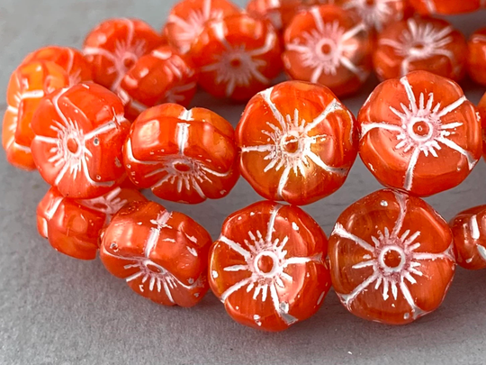 Sunset Orange Czech Hibiscus Glass Flower Beads, White Wash Finish, Bright Orange - 12mm 6 Or 12 Pcs Fb937-B58