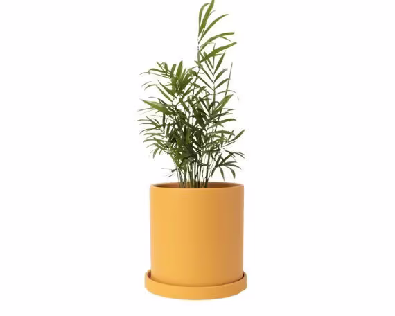 Mid Century Modern Style Ceramic Planter Pot with Drainage Hole & Saucer, Boho Minimalist [Lovely A'bode, 6.7 Inch Pot] Sunflower