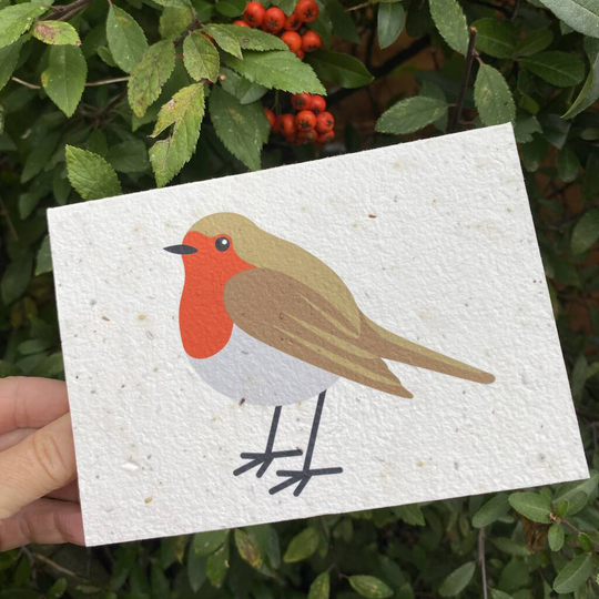 Christmas Robin Seed Card Plantable