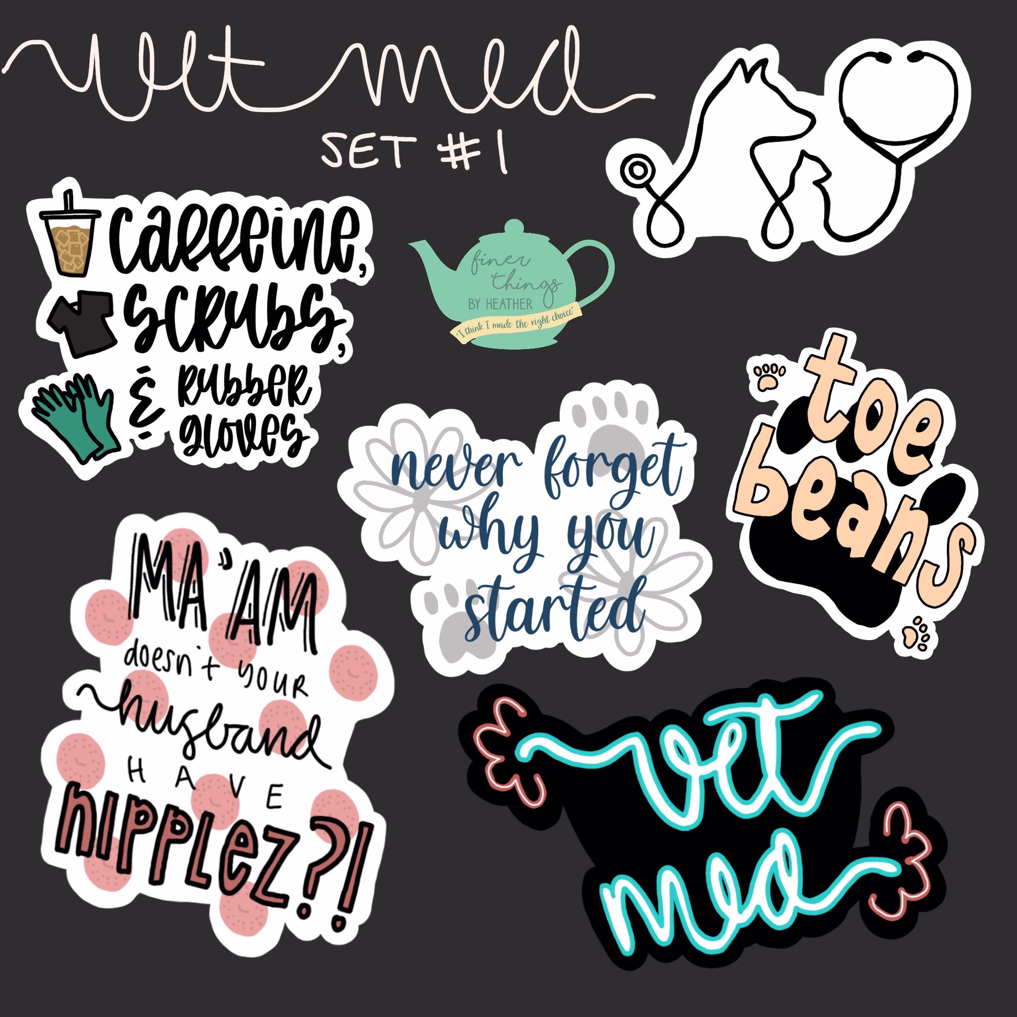 Veterinary Medicine Sticker Set/Vet Med Stickers Tech Dvm Cat Dog