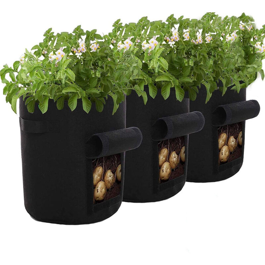 Perle Raregb - Perle rare Potato Planter Bag 7Gallon Plant Growing Bag Plastic Plant Bag for Potatoes, Tomatoes, Herbs, etc. Black 3pcs 30 * 35