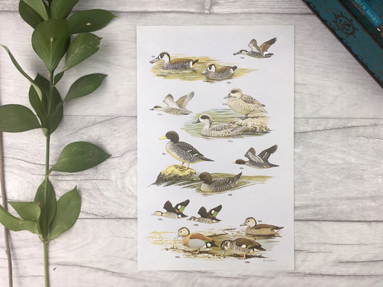 Seasonal Home Decor Print Of Ducks For Autumn Fall - 60Th Birthday Gift 50Th Laundry Room Dorm Nature Lover Male Friend
