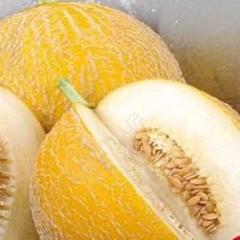 Melon Lesya Seeds Heirloom Non Gmo For Planting | 201384