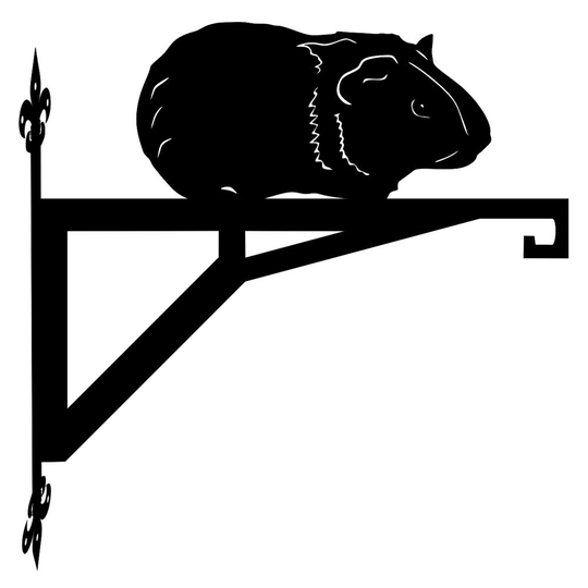 Guinea Pig Modern Contemporary Hanging Bracket